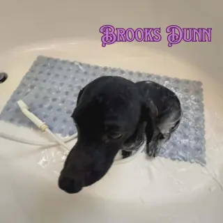 Brooks Dunn