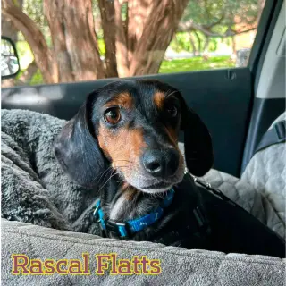 Rascal Flatts