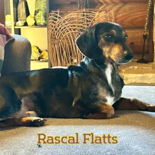 Rascal Flatts