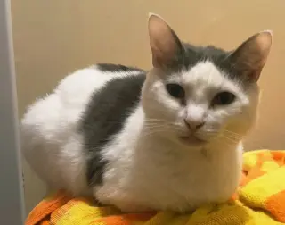 ETHEL