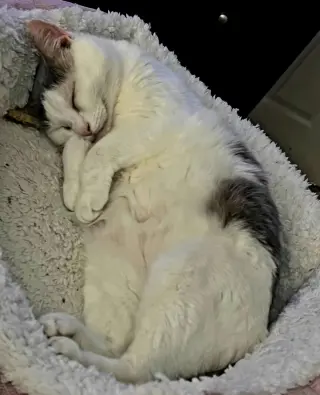 ETHEL