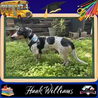 Hank Williams