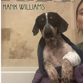 Hank Williams