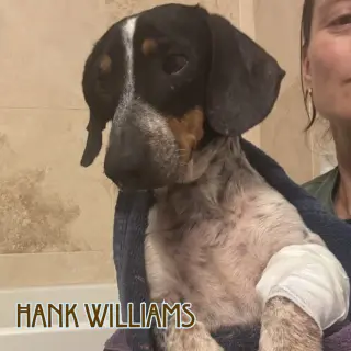 Hank Williams