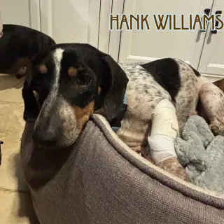 Hank Williams