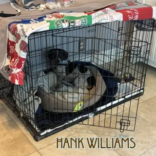 Hank Williams