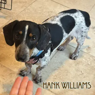 Hank Williams