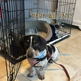Hank Williams