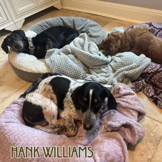 Hank Williams