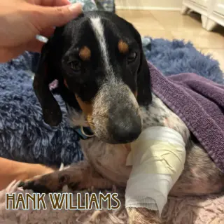 Hank Williams