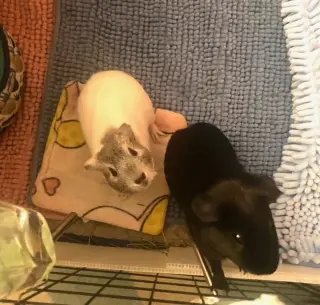Margie & Pearl