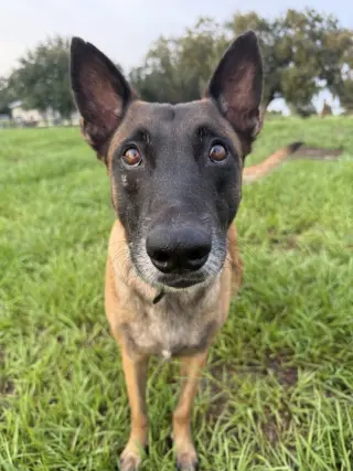 Tatum - Located in FL
