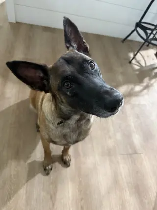 Tatum - Located in FL