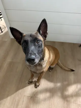Tatum - Located in FL
