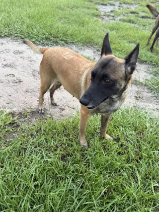 Tatum - Located in FL