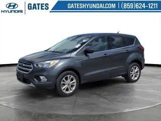 Ford Escape 2019 AWD SE 4dr SUV