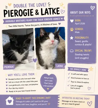 Pierogie