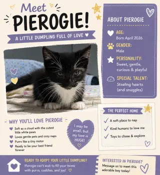 Pierogie