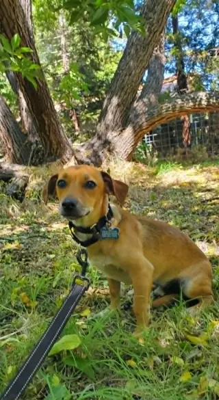 Milo