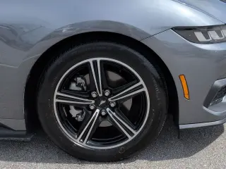 Ford Mustang 2025 EcoBoost 2dr Fastback