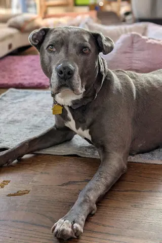 Ellie