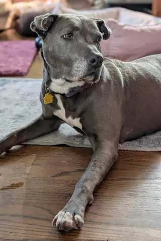 Ellie