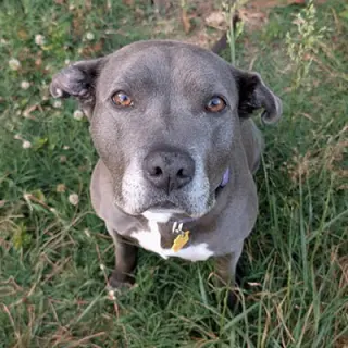 Ellie