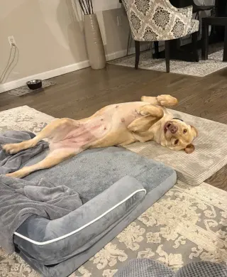 Rosie