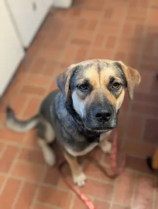 Ruby