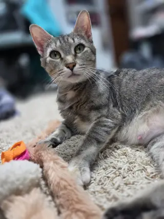 Freya