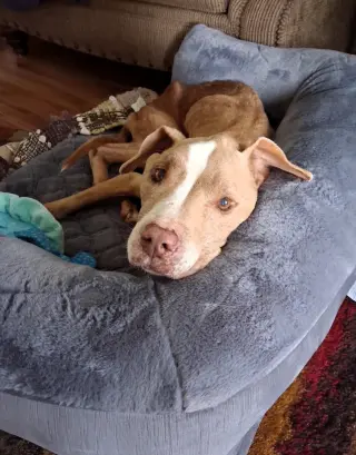 Xena