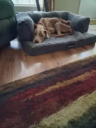 Xena