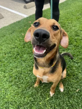 Charlie