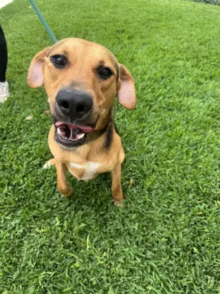 Charlie