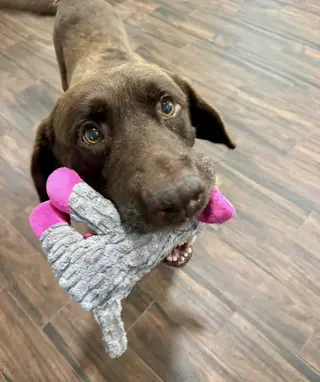 Goose fka Lenny