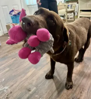 Goose fka Lenny