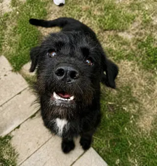 Fletch