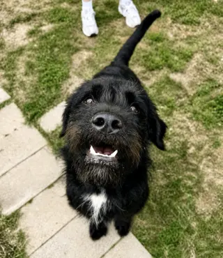 Fletch