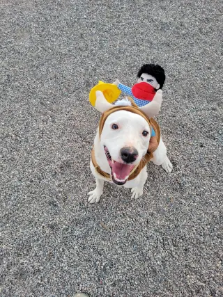 TOBY #10