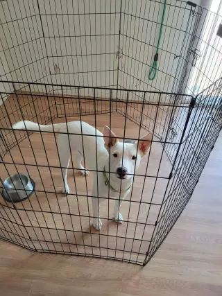 TOBY #10