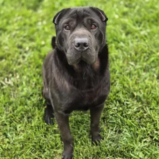 Max