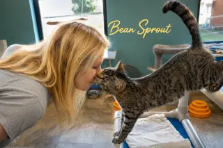 Bean Sprout (FCID# 05/11/2026 - 31 Brookhaven PS)