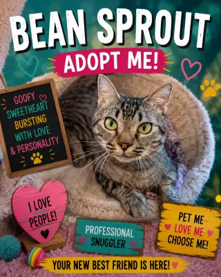 Bean Sprout (FCID# 05/11/2026 - 31 Brookhaven PS)