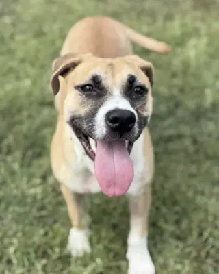 Layla (fka Lisa)