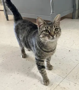 Ona