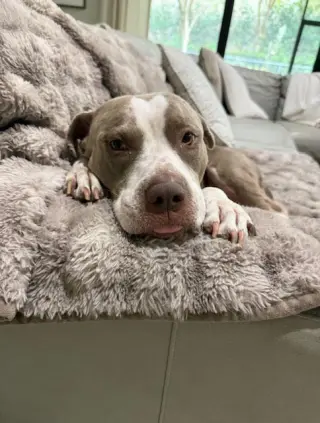 COURTESY POST: Luna