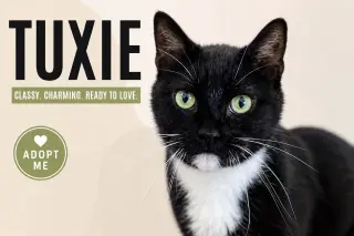 Tuxie (FCID# 05/11/2026 - 64 Brandywine PS)