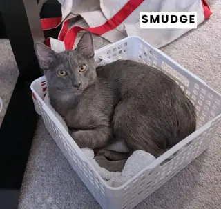 Smudge