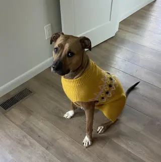 Finley