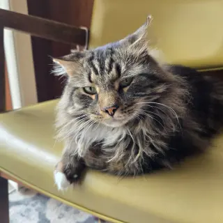 Dewey